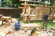 Spring 2017 Building with Logs