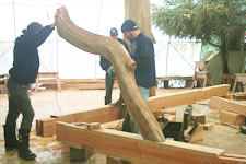 Fall 2018 Timber Frame Bents