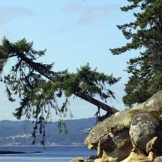 Gabriola Island